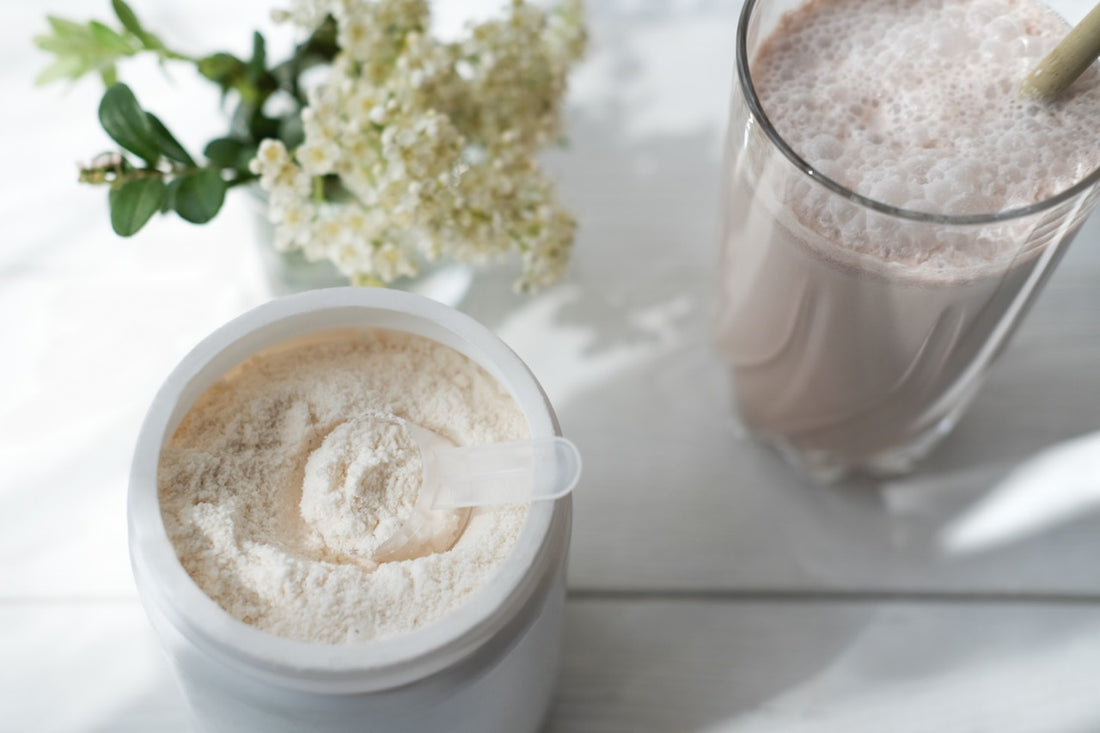 Freeze-Dried Whey Powder