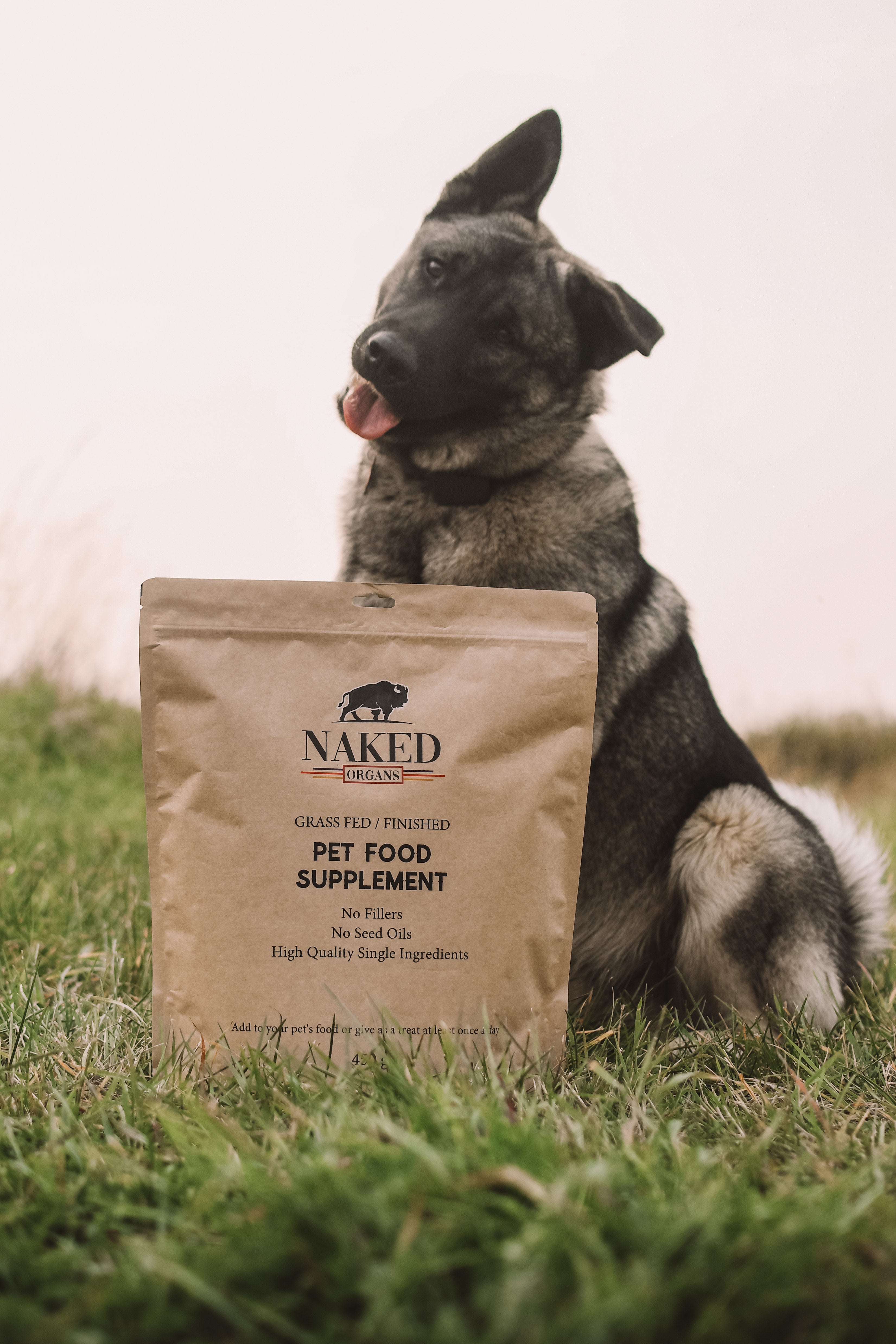 Pet Food Supplement