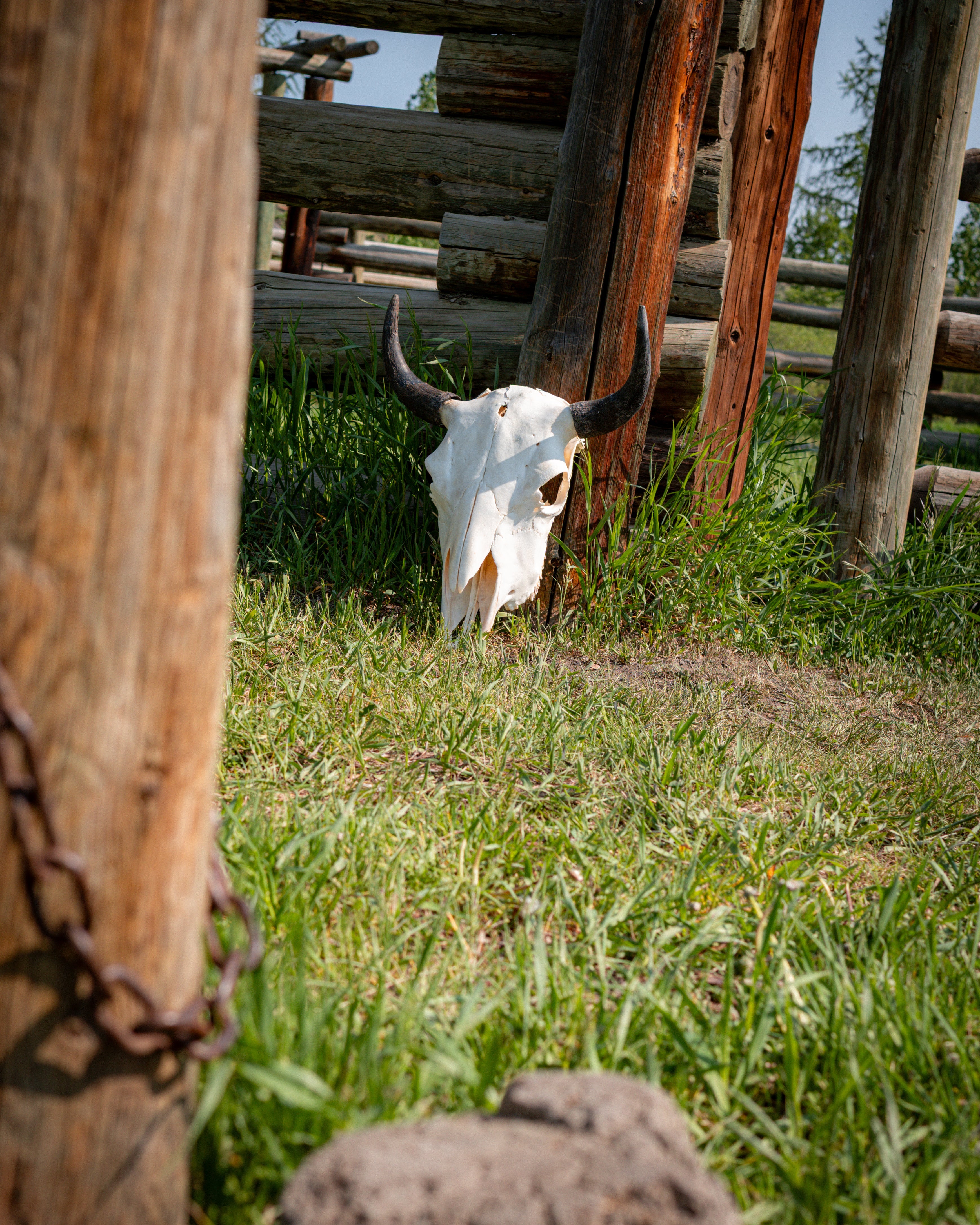 Tall Skull | Bullet Mark